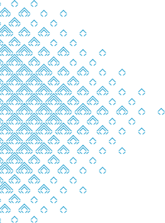 logo footer
